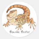 Search for cute bearded dragon stickers Pet