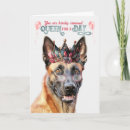 Search for belgian malinois cards Dogs