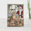 Search for bengal cat cards Feline
