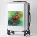 Search for watercolor cardinal bird stickers Red
