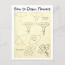 Search for flower sketches postcards Drawing