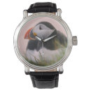 Search for puffin watches Iceland
