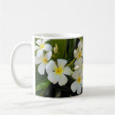 Search for plumeria mugs Flowers