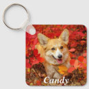 Search for puppy key rings Pet