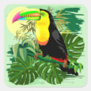 Search for amazon rainforest Tropical