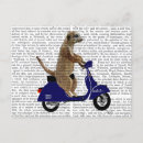 Search for blue cat postcards Flowers