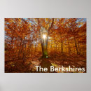 Search for berkshires posters Autumn