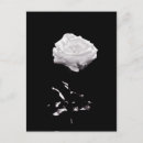 Search for rose background postcards Flower