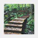 Search for staircase magnets Trees