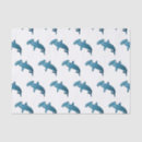 Search for sharks tissue paper Hammerhead