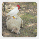 Search for funny farm stickers Sheep