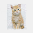 Search for orange tabby cat blankets Pet