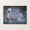 Search for pelican puzzles Florida