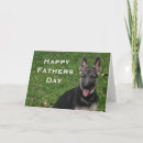 Search for german shepherds cards German shepherd dog
