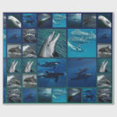 Search for beluga wrapping paper Dolphin