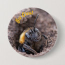 Search for bee badges Nature