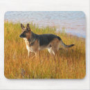 Search for purebred mousepads Dog
