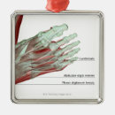 Search for foot care posters Work