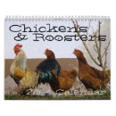 Search for rooster calendars Chicks