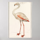 Search for vintage flamingo posters Pink