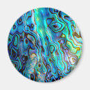 Search for precious magnets Cute