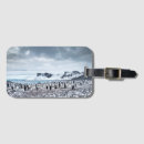 Search for antarctic accessories Bird