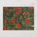 Search for hibiscus flower postcards Vintage