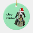 Search for great dane christmas tree decorations Harlequin