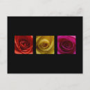 Search for triptych postcards Three