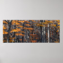 Search for panoramic posters Forest