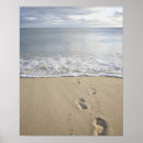 Search for cape cod massachusetts Summer