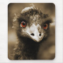 Search for looking mousepads Animals