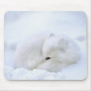 Search for arctic fox mousepads Winter