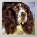 Search for english springer spaniel art Dog