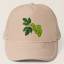 Search for homebrew hats Brewer