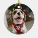 Search for pet christmas tree decorations Pets