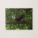 Search for kauai puzzles Tropical