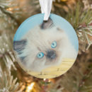Search for persian cat christmas tree decorations Fluffy