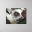 Search for lemurs art Animals