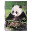 Search for smithsonian photography Bear