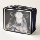 Search for photography lunch boxes Barns