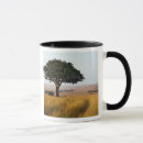Search for acacia mugs Tree