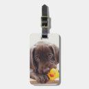 Search for rubber luggage tags Animal
