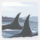 Search for orca stickers Alaska