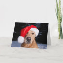 Search for golden retriever christmas cards Winter