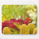 Search for bunch mousepads Red
