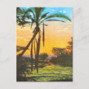 Search for above postcards Africa