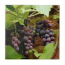 Search for grapes tiles Fruit