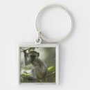 Search for rhodesia key rings Nature