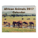 Search for hippo calendars Wildlife